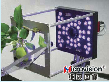 機器視覺光(guāng)合作用(yòng)測量