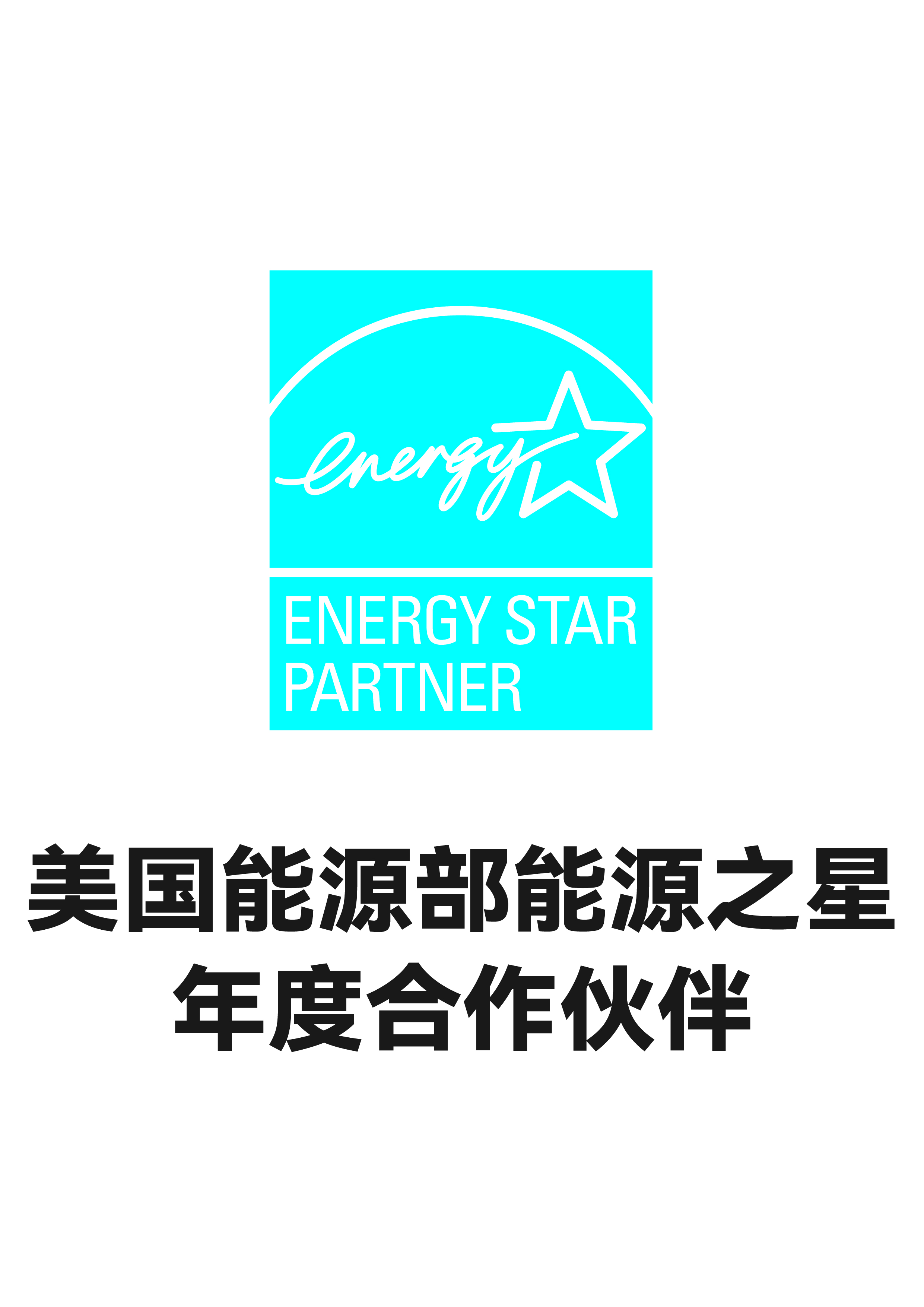 美国能源之星年度合作伙伴标志